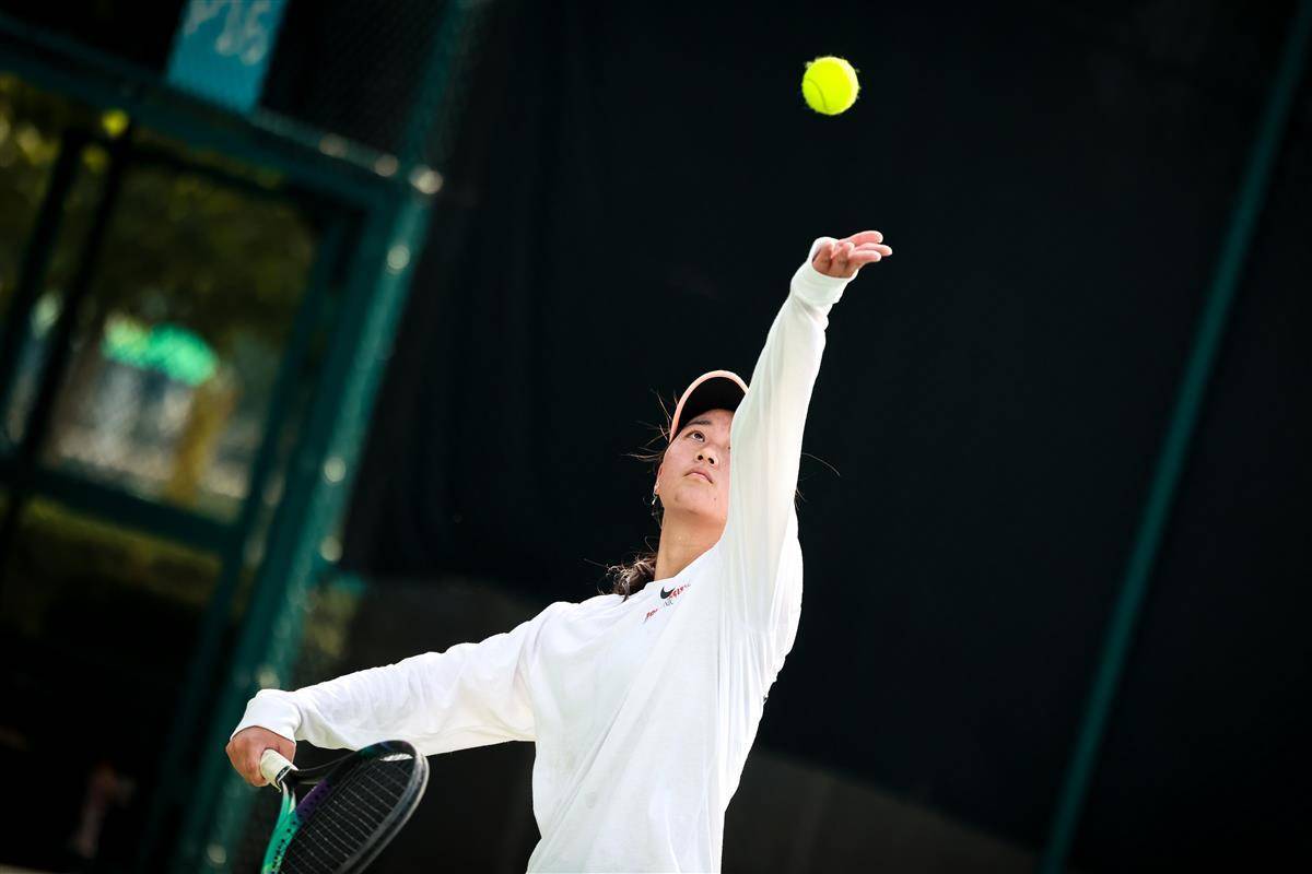 把握龙团 把握龙团